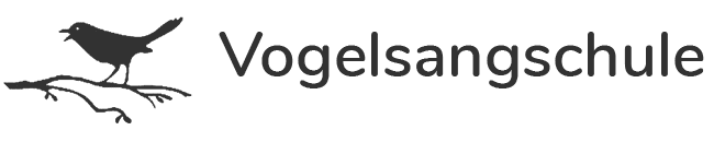 Vogelsangschule Stuttgart setzt ReadBee ein